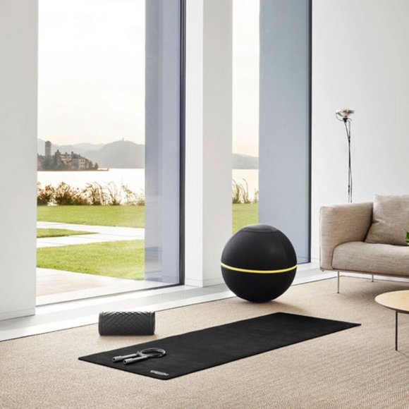 Technogym Wellness Ball + Active Sitting - Brand New - Picture 4 of 6